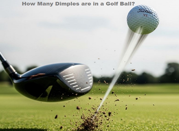How Many Dimples are in a Golf Ball